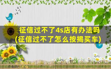 征信过不了4s店有办法吗(征信过不了怎么按揭买车)