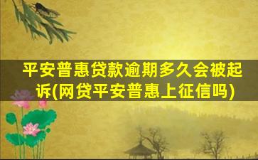 平安普惠贷款逾期多久会被起诉(网贷平安普惠上征信吗)