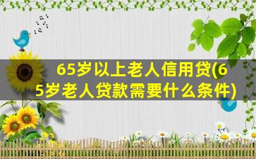 65岁以上老人信用贷(65岁老人贷款需要什么条件)