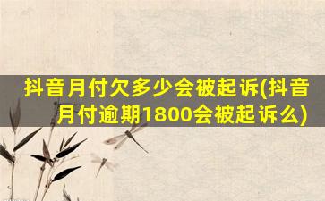 抖音月付欠多少会被起诉(抖音月付逾期1800会被起诉么)