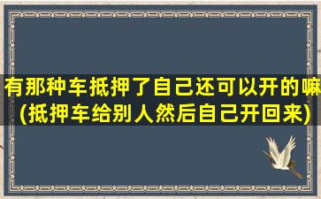 有那种车抵押了自己还可以开的嘛(抵押车给别人然后自己开回来)