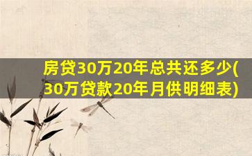 房贷30万20年总共还多少(30万贷款20年月供明细表)