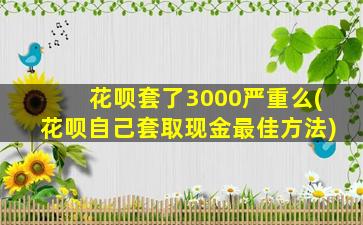 花呗套了3000严重么(花呗自己套取现金最佳方法)