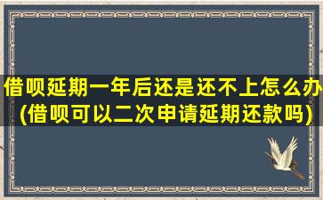 借呗延期一年后还是还不上怎么办(借呗可以二次申请延期还款吗)