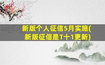 新版个人征信5月实施(新版征信是T十1更新)