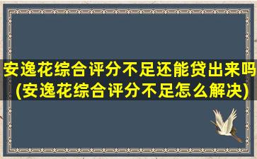 安逸花综合评分不足还能贷出来吗(安逸花综合评分不足怎么解决)