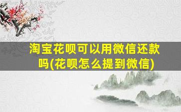 淘宝花呗可以用微信还款吗(花呗怎么提到微信)